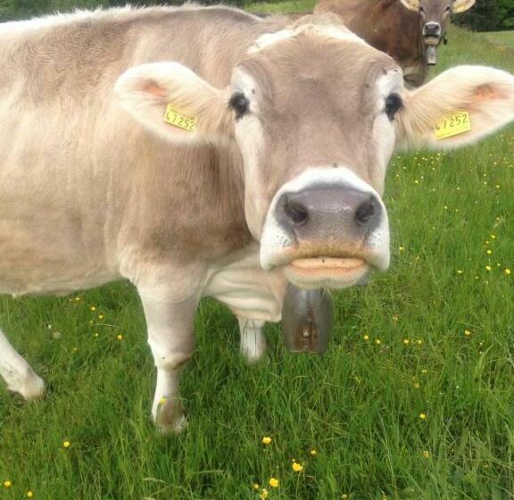 ペンション Doppelzimmer Heimatliebe