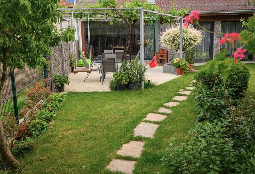 פנסיון Guest House 7