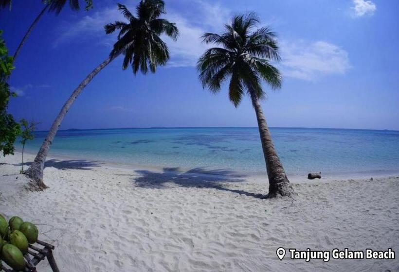 پانسیون Loyal Friend Hostel Karimunjawa