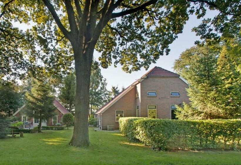 住宿加早餐 Appartement De Berk