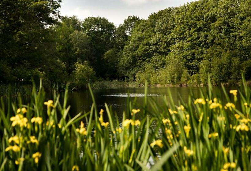 ベッドアンドブレックファースト Appartement De Berk