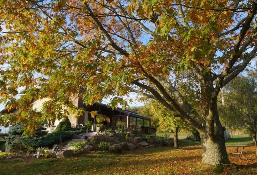 Aamiaismajoitus (B&B) Chambres D Hôtes De L Avison