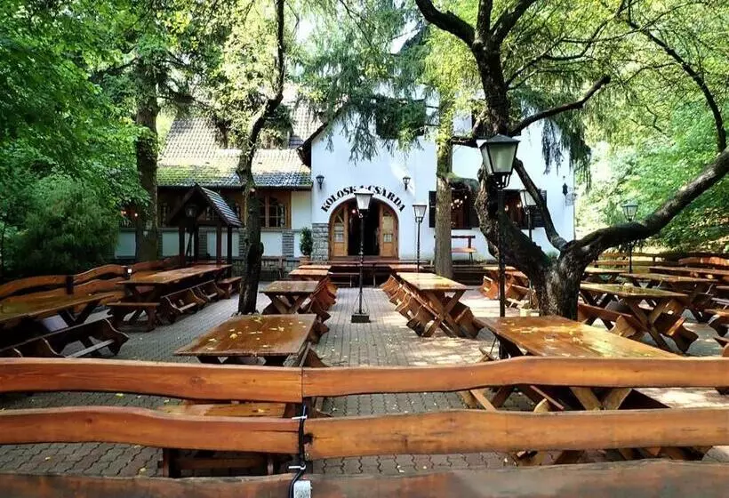 Aamiaismajoitus (B&B) Koloska Apartmanház