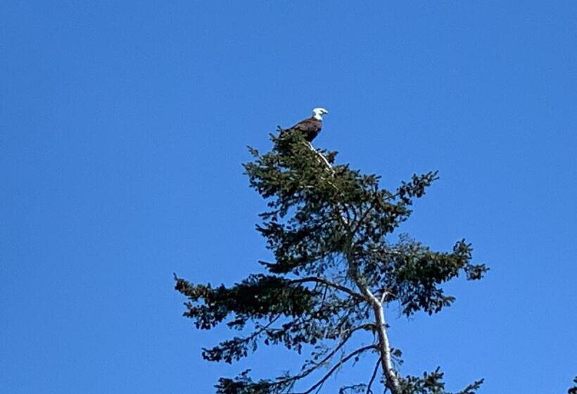Bed and Breakfast Sterling Cove