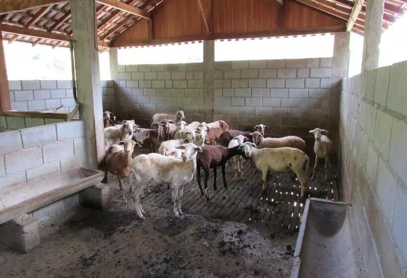 Majatalo Hospedaria Rancho Ferreira