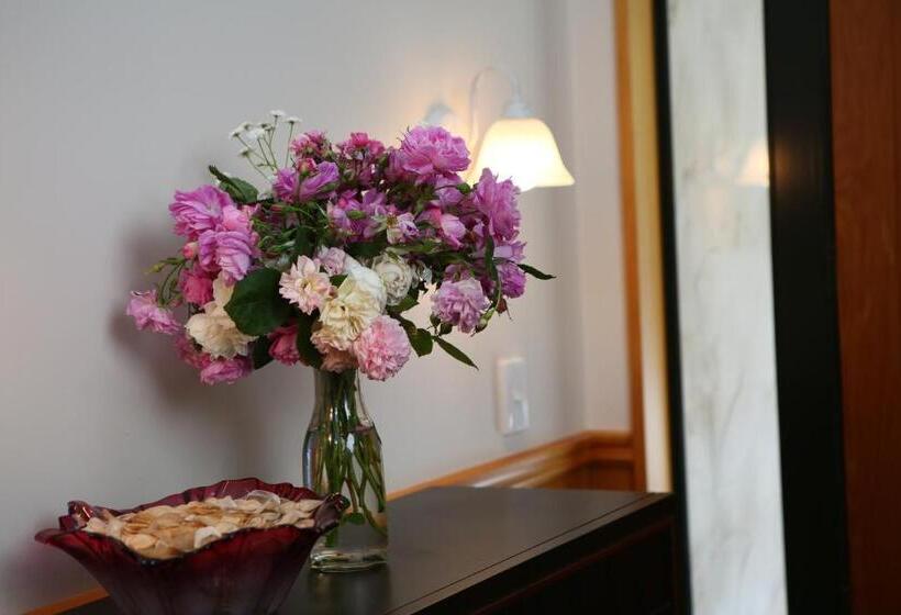 ペンション Star Dream Manor