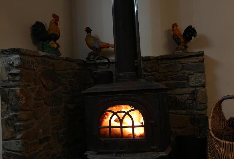 ペンション Star Dream Manor