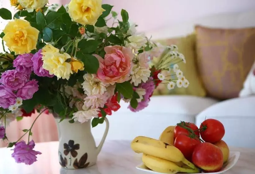 Majatalo Star Dream Manor