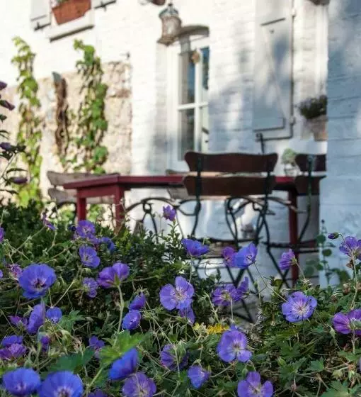 Puurteuven B&b Tussen Kunst En Natuur