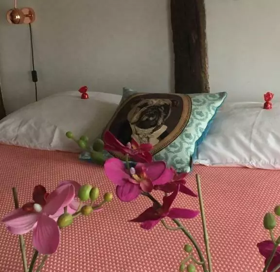 Puurteuven B&b Tussen Kunst En Natuur