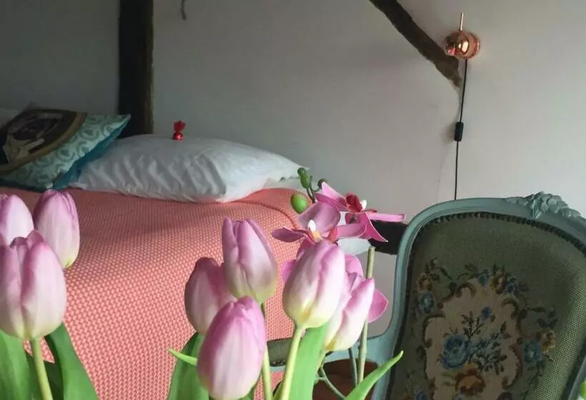 Puurteuven B&b Tussen Kunst En Natuur