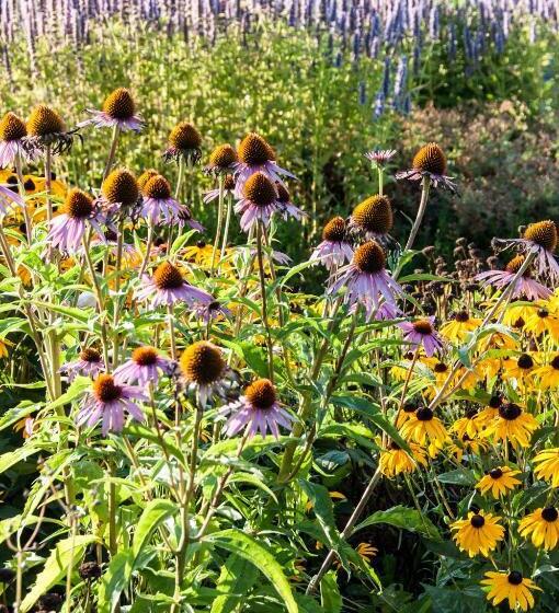 Puurteuven B&b Tussen Kunst En Natuur