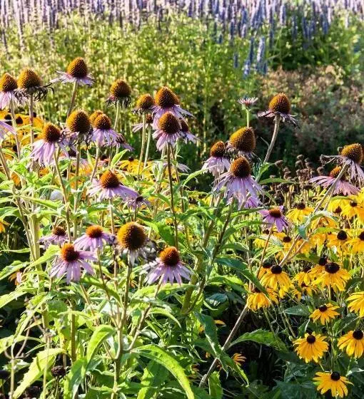 Puurteuven B&b Tussen Kunst En Natuur