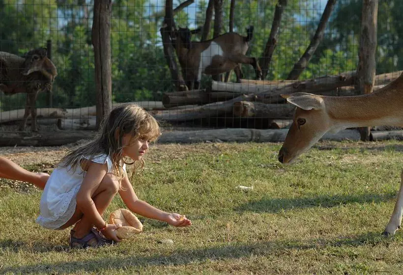 Отель Arbatax Park Resort Il Villaggio