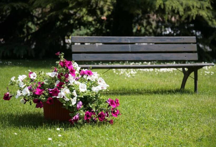 בית מלון כפרי Bassetto