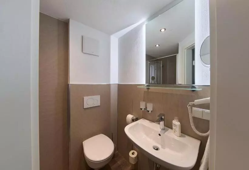 Отель Brauhaus Zum Löwen