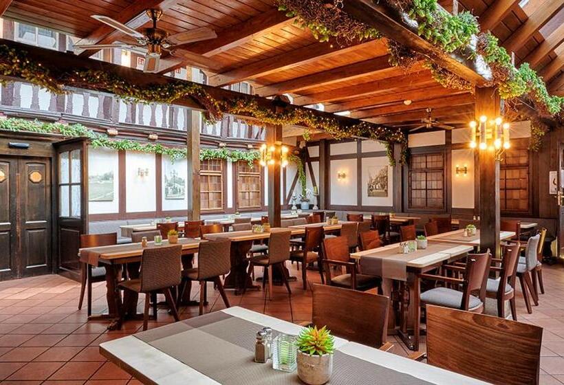 Отель Brauhaus Zum Löwen