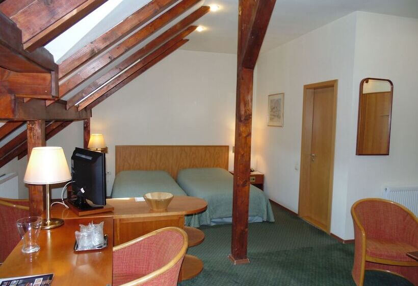 בית מלון כפרי Curtea Brasoveana