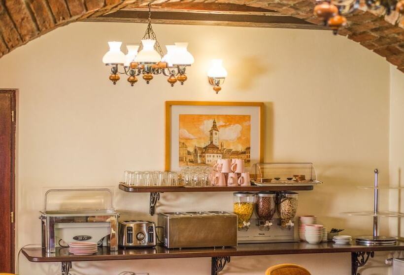 בית מלון כפרי Curtea Brasoveana