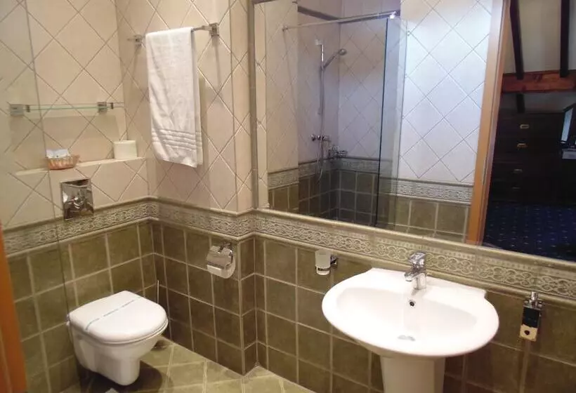 Отель Curtea Brasoveana