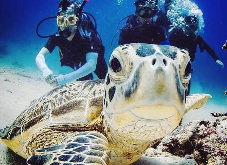 Hostel Chalé Recanto Dos Anjos Arraial Do Cabo