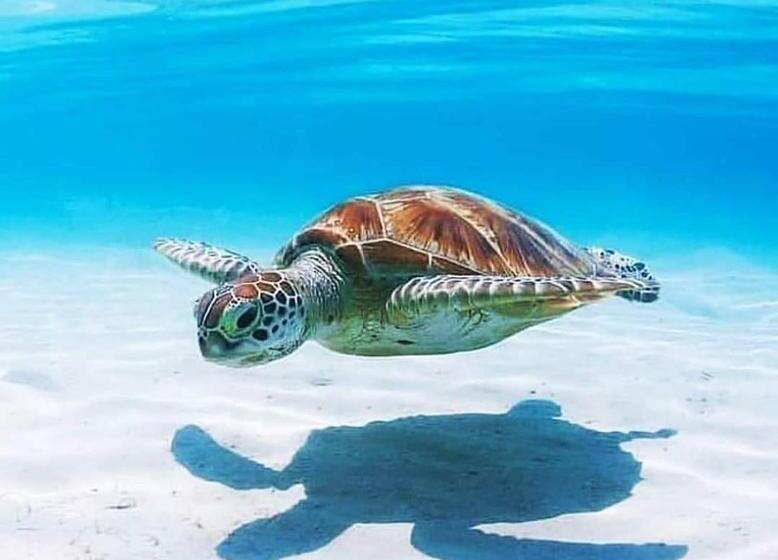 Hostel Chalé Recanto Dos Anjos Arraial Do Cabo