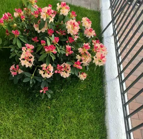 هاستل Meierstrasse