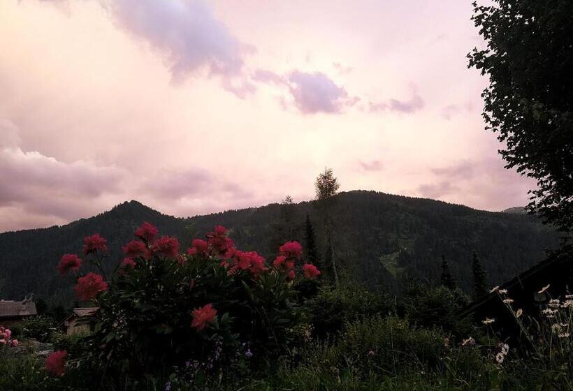 تختخواب و صبحانه Le Castor