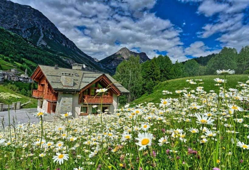 פנסיון Chalet Taulei