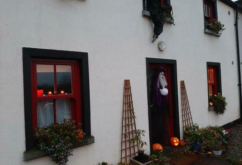 פנסיון Nellys Bed And Bikes