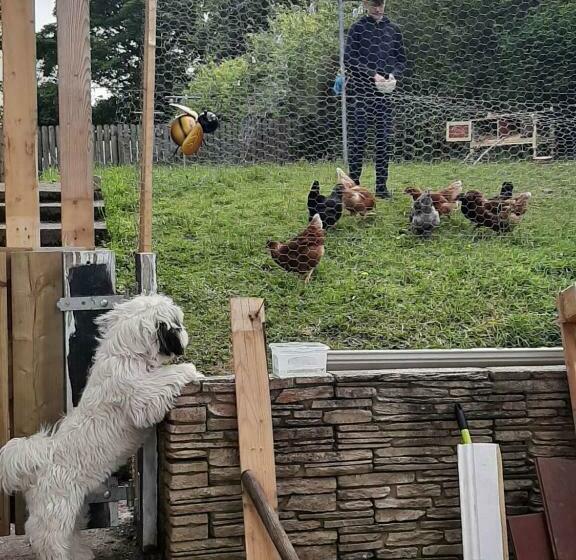 פנסיון Nellys Bed And Bikes