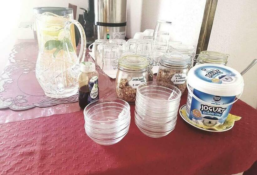 Pension (Hôtel basse catégorie) Penzion Holland