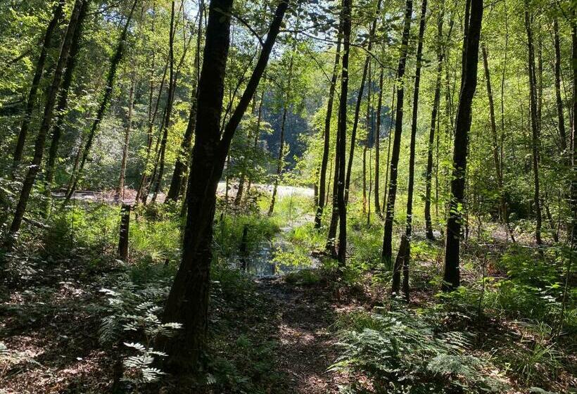 ペンション The Farmer S Daughter