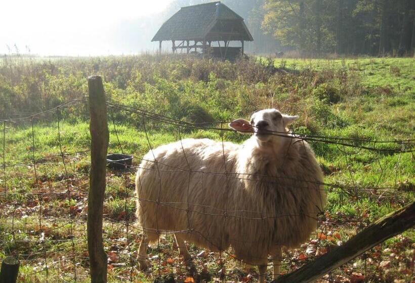 ペンション The Farmer S Daughter