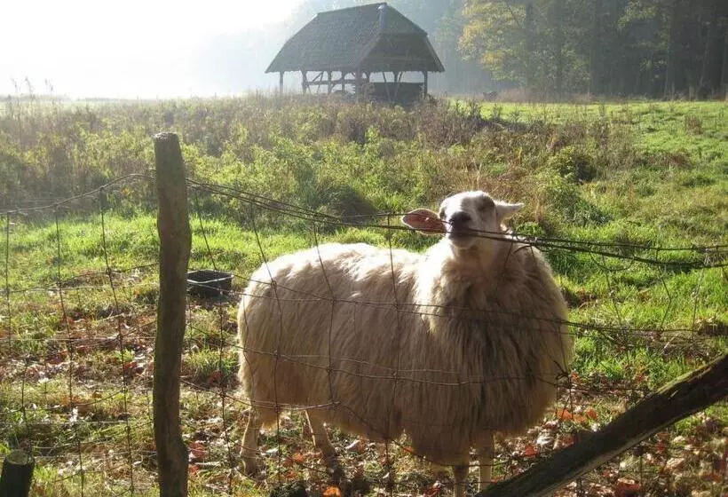 Majatalo The Farmer S Daughter