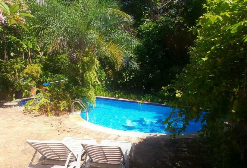 بنسيون Zazen Pousada By Santoregano