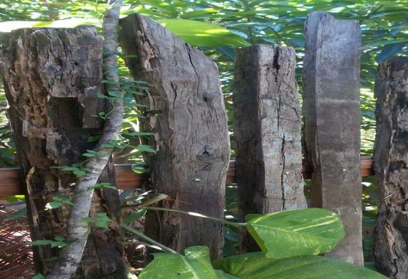 بنسيون Zazen Pousada By Santoregano