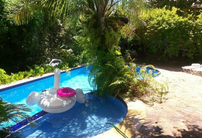 بنسيون Zazen Pousada By Santoregano