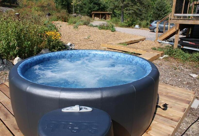 Top Of Algonquin Bed And Breakfast