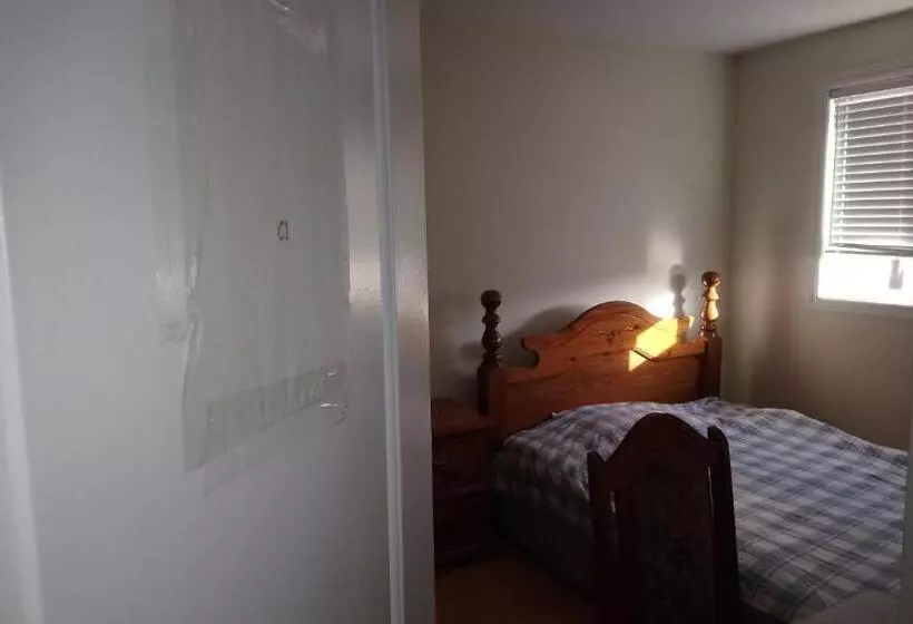 ユースホステル Private Rooms, Free Parking, Full Kitchen, Best Prices In Town  York University Heights