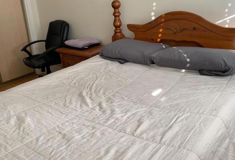 旅馆 Private Rooms, Free Parking, Full Kitchen, Best Prices In Town  York University Heights