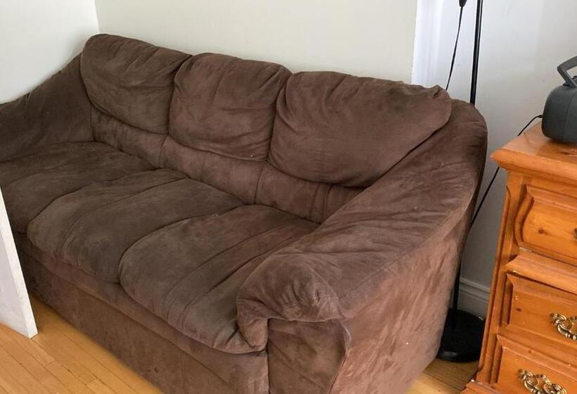 旅馆 Private Rooms, Free Parking, Full Kitchen, Best Prices In Town  York University Heights