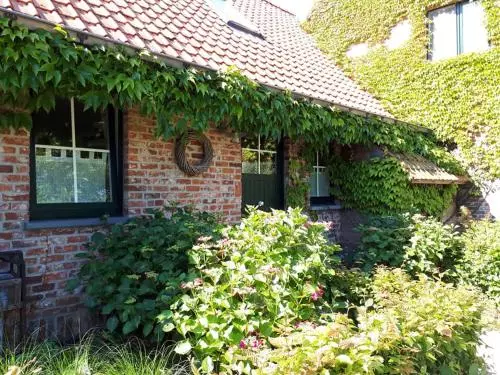B&b Dons En Flanel