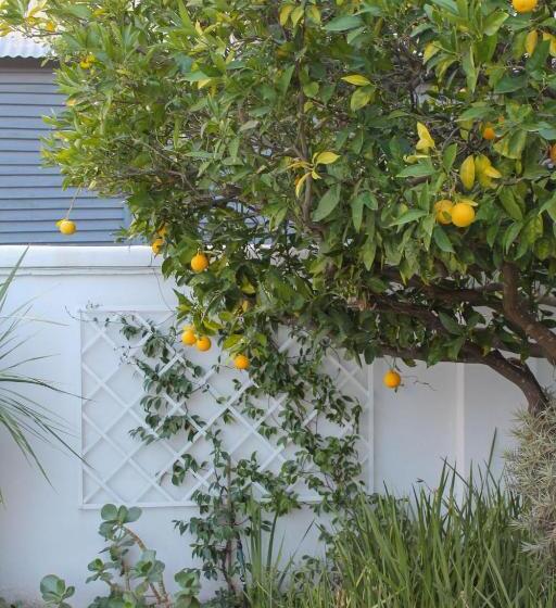 Bed and Breakfast La Réverie