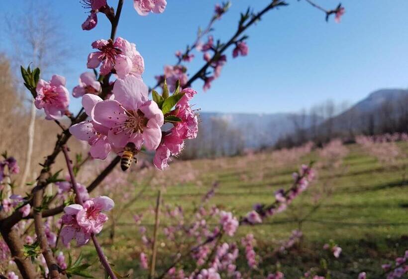 צימר Agriturismo La Giasena