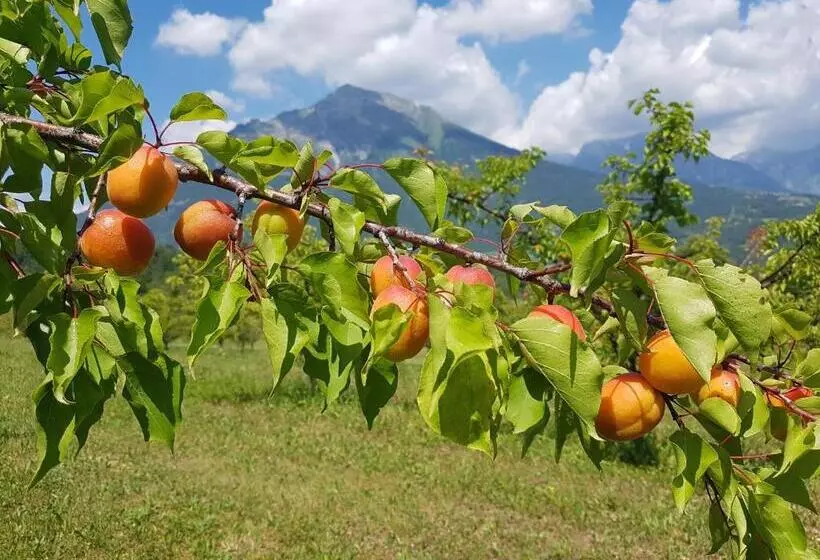 ベッドアンドブレックファースト Agriturismo La Giasena
