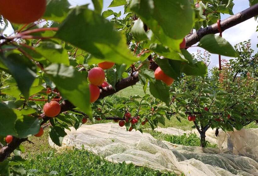 צימר Agriturismo La Giasena