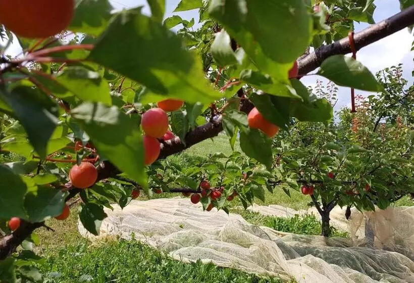 ベッドアンドブレックファースト Agriturismo La Giasena