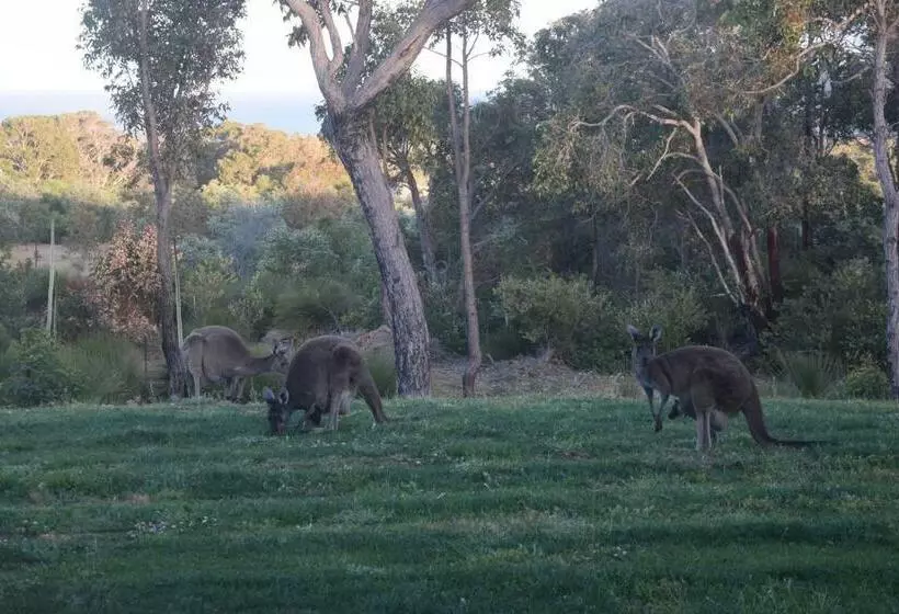 ベッドアンドブレックファースト Eagle Bay House