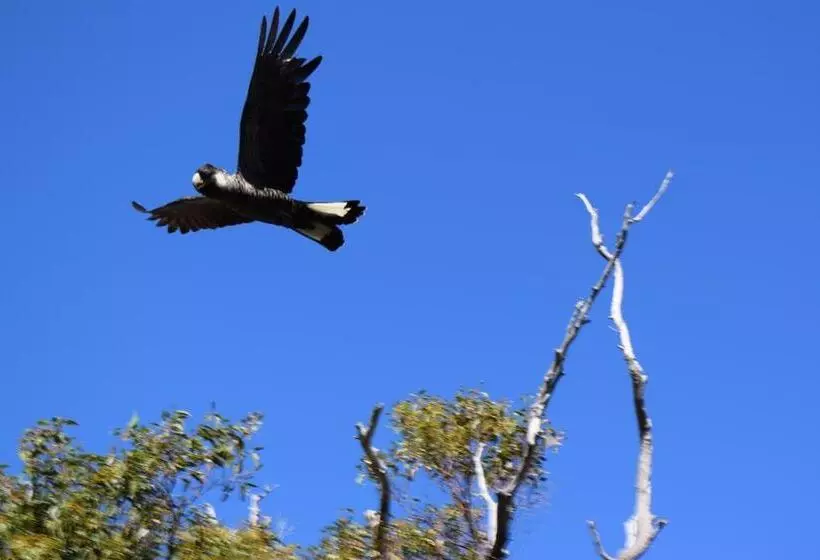 ベッドアンドブレックファースト Eagle Bay House